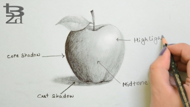 Top Apple Pencil Shading Step by Step Draw Apple With Pencil | How To Do Shading | Learn Light And Shadow Photo