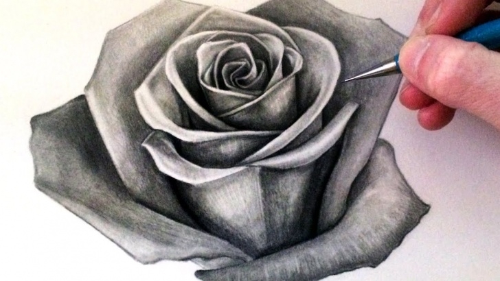 Wonderful 3D Rose Pensil Sketch Step By Step Courses How To Draw A Rose Photos