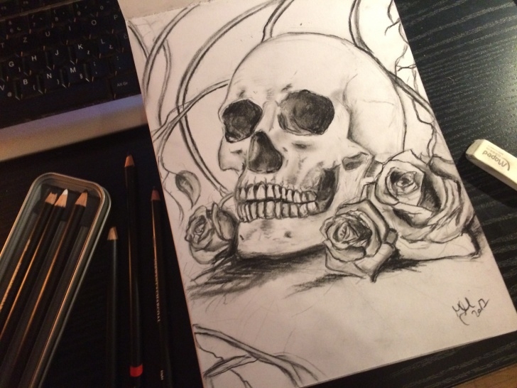 Wonderful Pencil Drawings Skulls Ideas Charcoal And Pencil Drawing Skull - Drawings - Portfolio - Jelena Pics